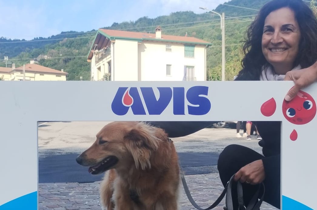 Donazione di sangue canino: Dog Trail Canicross Lecchese e Avis Valgreghentino insieme per sensibilizzare