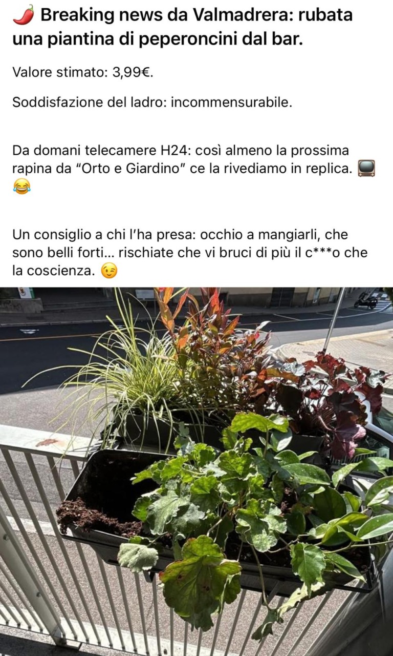 Furto piccante al bar Whisky & Soda. Obiettivo dei ladri? I peperoncini