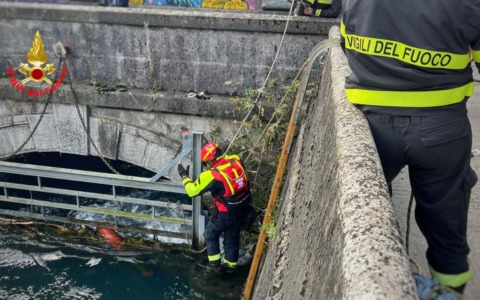 I Vigili del fuoco salvano cane in difficoltà nell’Adda