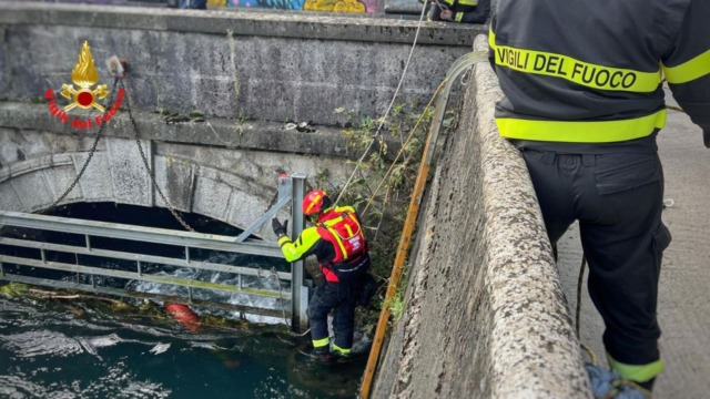 I Vigili del fuoco salvano cane in difficoltà nell’Adda