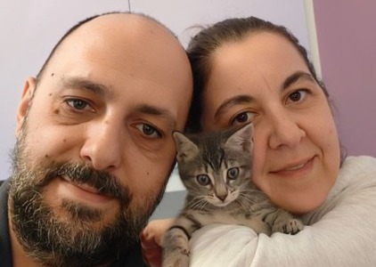 Glass, la gattina gettata nella campana del vetro è amata da una nuova famiglia