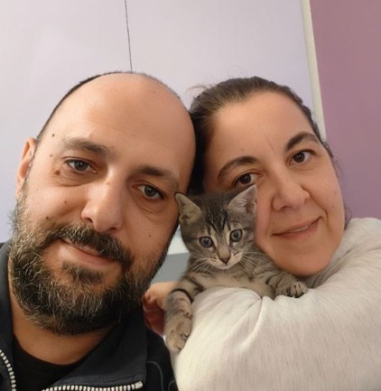 Glass, la gattina gettata nella campana del vetro è amata da una nuova famiglia