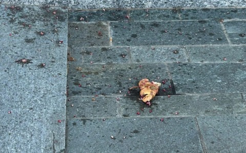 Civate, vandali gettano melograni sulla facciata della chiesa