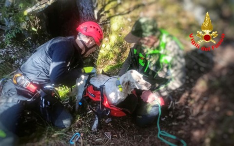 Cagnolino finisce in una forra, lo salvano i Vigili del fuoco