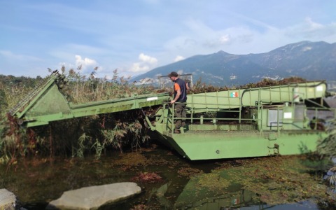 Provincia di Lecco e Autorità di Bacino: al via lo sfalcio delle alghe nei laghi