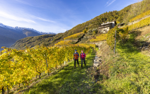 Autunno, la Valtellina si racconta: eventi, sapori e borghi da vivere