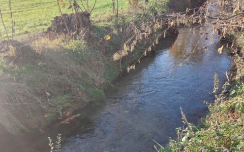 Torrente Gandaloglio a Oggiono, Circolo Ilaria Alpi: “No alla rimozione dei detriti”