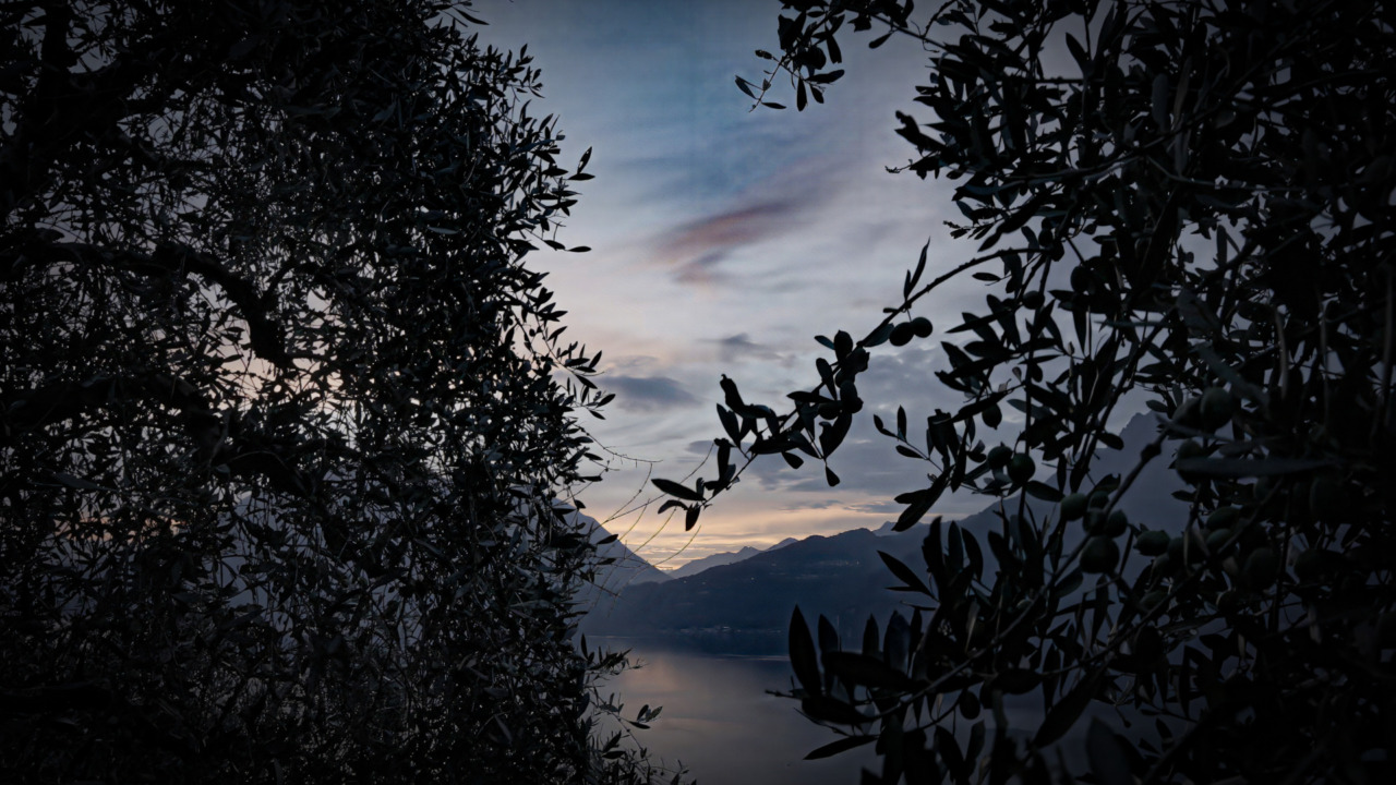 “Custodi della terra”: il 28 novembre a Bellano la proiezione del cortometraggio