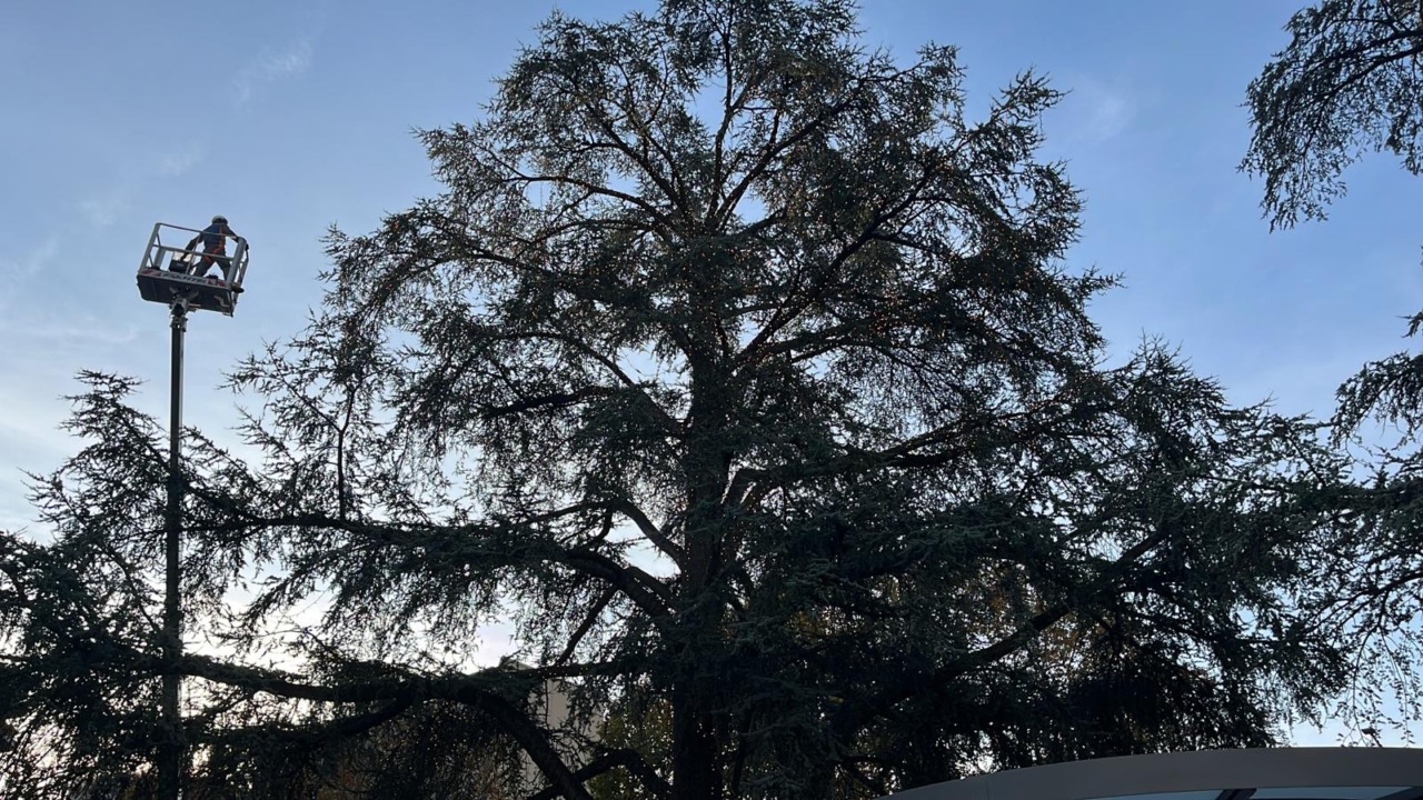 Il Natale lecchese prende forma: si addobba l’albero di Piazza Mazzini