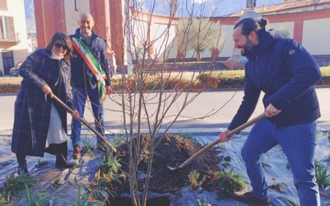 Una magnolia sul lungolago per tutti i nati del 2025