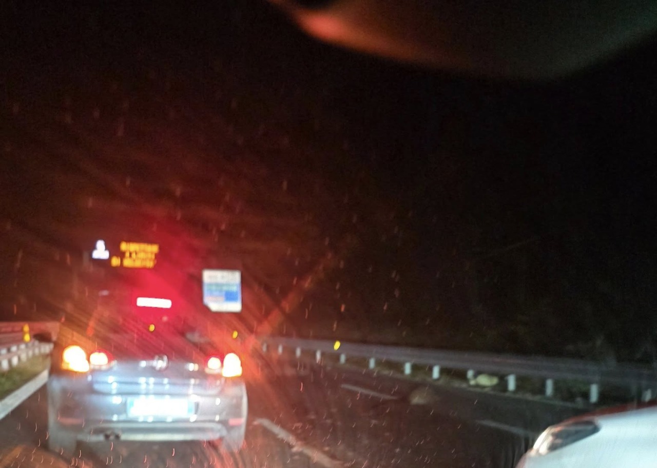 Paura sulla Statale 36: branco di cinghiali in carreggiata, SUV li investe dopo il tunnel del Monte Barro