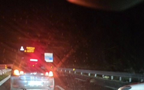 Paura sulla Statale 36: branco di cinghiali in carreggiata, SUV li investe dopo il tunnel del Monte Barro