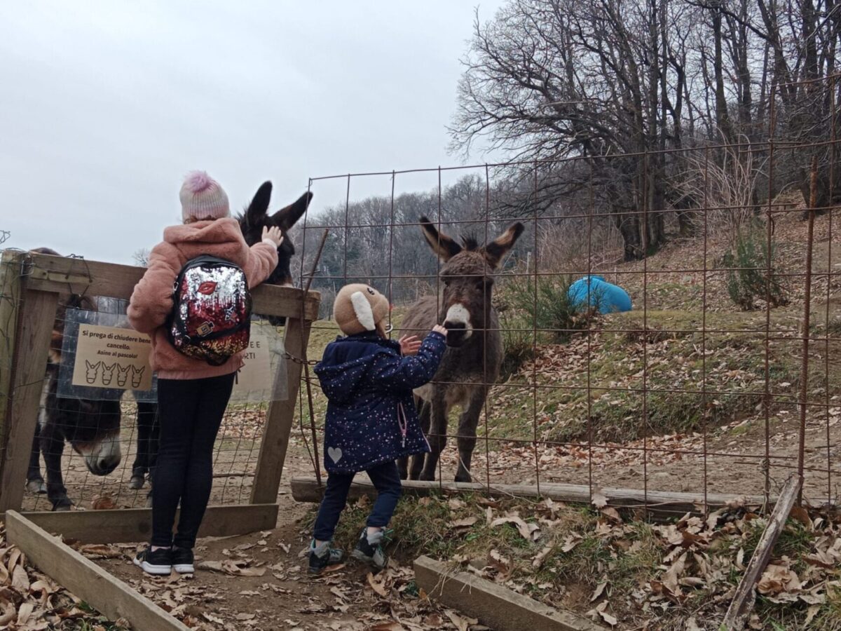 Il centro estivo diventa invernale con NatuRapello Winter edition