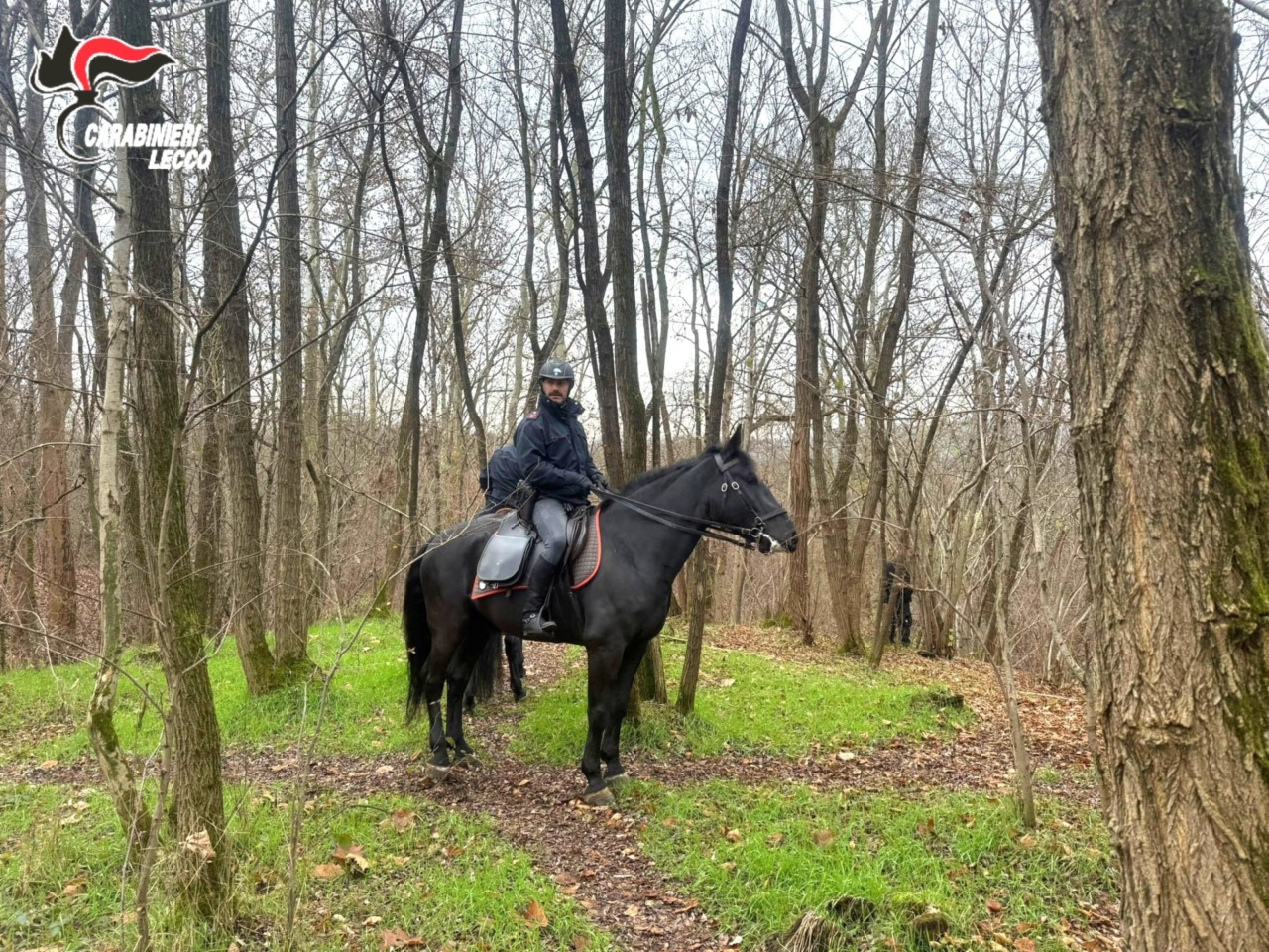 Carabinieri a cavallo smantellano quattro bivacchi nei boschi della droga