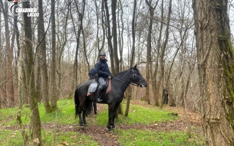 Carabinieri a cavallo smantellano quattro bivacchi nei boschi della droga
