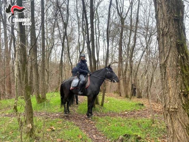 Carabinieri a cavallo smantellano quattro bivacchi nei boschi della droga