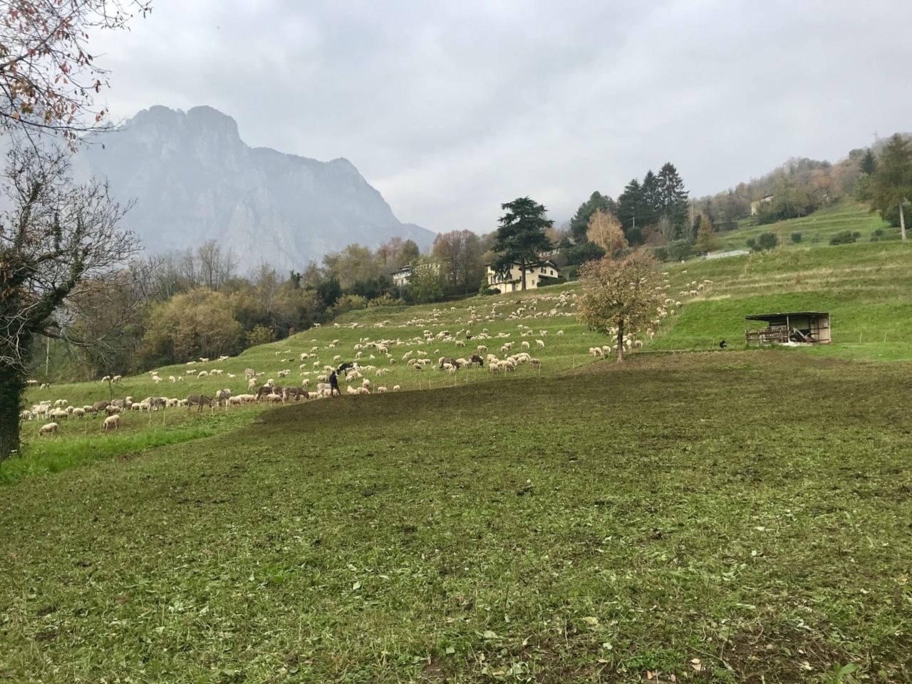 Lecco, grande mobilitazione contro l’edificabilità di Cavagna: raccolte oltre 1500 firme in poche ore