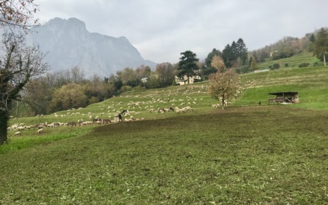 Lecco, grande mobilitazione contro l’edificabilità di Cavagna: raccolte oltre 1500 firme in poche ore