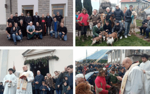 Il cardinale Cantoni a Crebbio per la Festa di Sant’Antonio tra fede, tradizione e… alpaca!