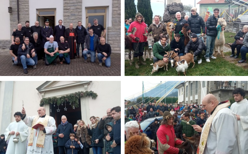 Il cardinale Cantoni a Crebbio per la Festa di Sant’Antonio tra fede, tradizione e… alpaca!