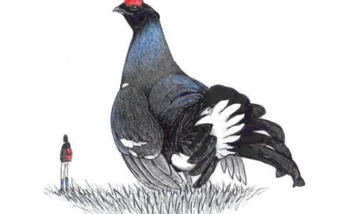 Monti Sorgenti 2026: al via le iniziative culturali