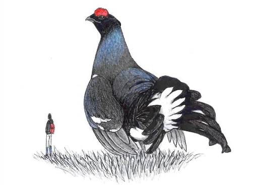 Monti Sorgenti 2026: al via le iniziative culturali