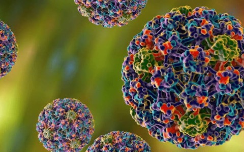 HPV: conoscere per prevenire