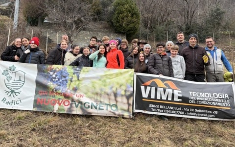 Studenti del Marco Polo di Colico partecipano al recupero di un vigneto a Vendrogno