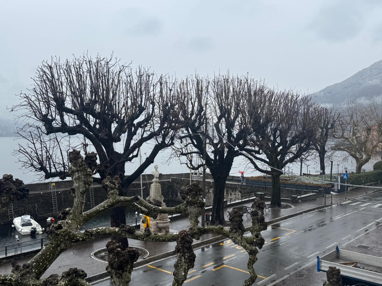 Bellano, parla l’agronomo: “Abbattere alberi: una decisione evitabile”