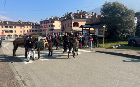 Pulizia del paese… a passo d’asino
