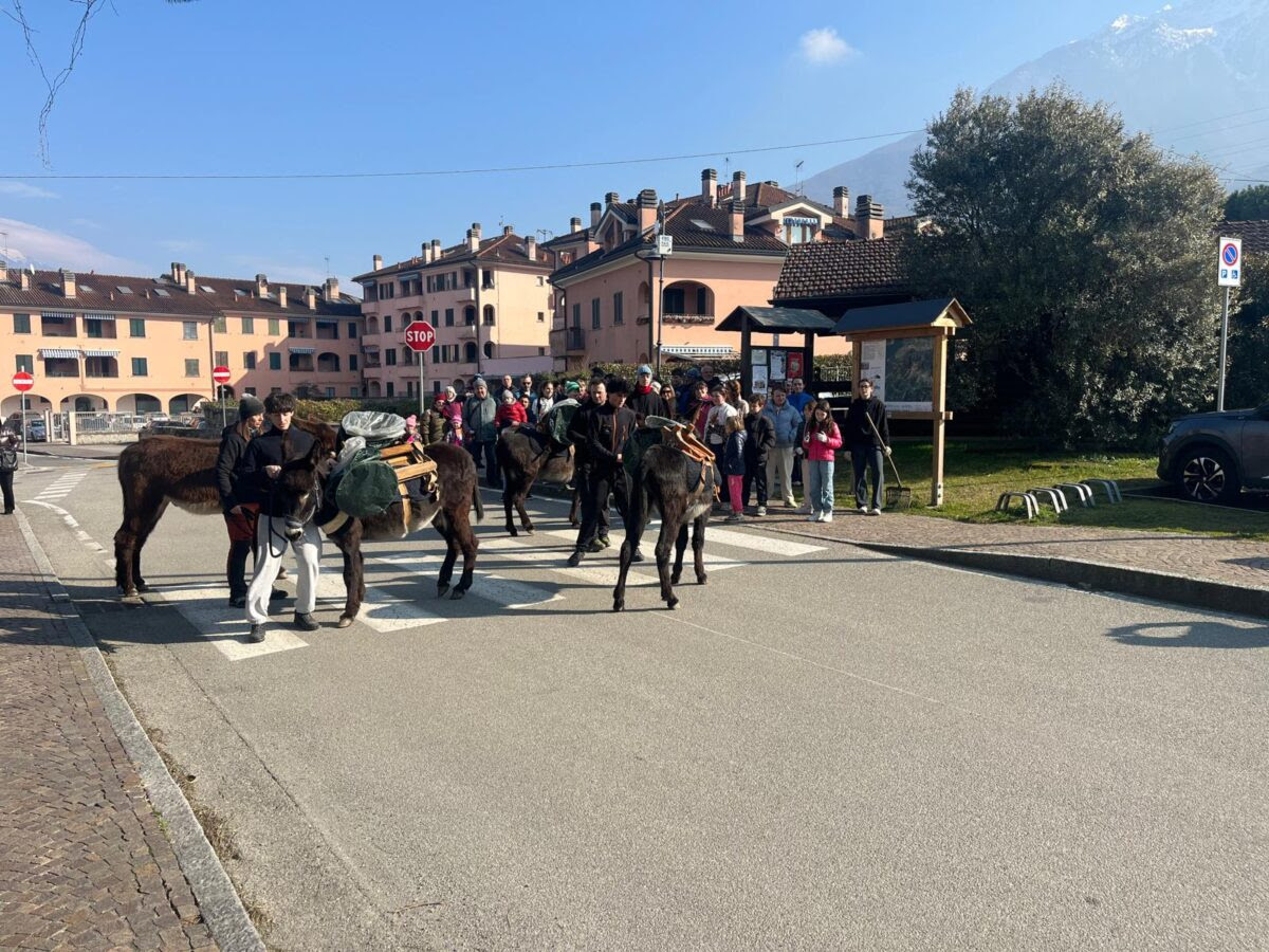 Pulizia del paese… a passo d’asino