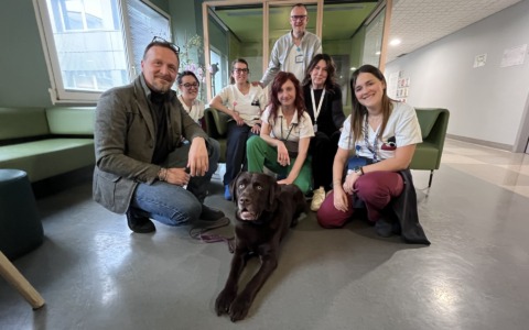 La Pet Therapy all’Ospedale di Lecco: in Hospice e in Pediatria arriva il cane Bruno