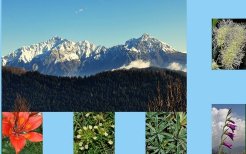 A Valmadrera un viaggio alla scoperta della biodiversità del massiccio delle Grigne