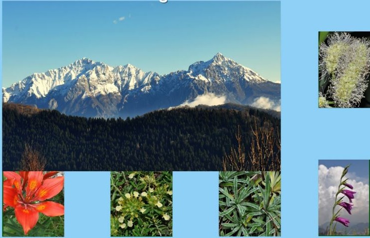 A Valmadrera un viaggio alla scoperta della biodiversità del massiccio delle Grigne