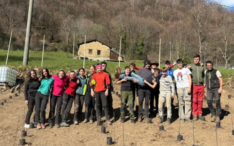 Vigneto eroico a Vendrogno: studenti del Marco Polo di Colico protagonisti del progetto Radici