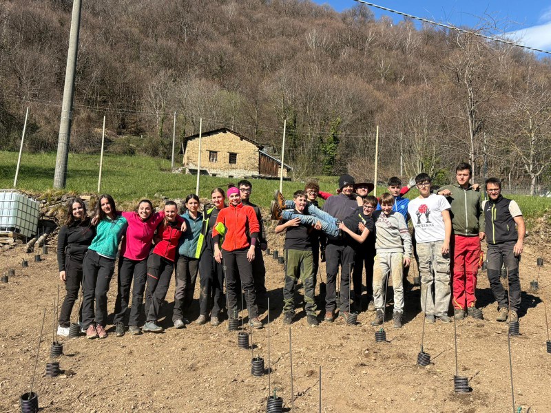 Vigneto eroico a Vendrogno: studenti del Marco Polo di Colico protagonisti del progetto Radici