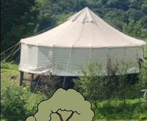 Alberi sacri e memoria in Valsassina: un weekend tra natura, spiritualità e Resistenza