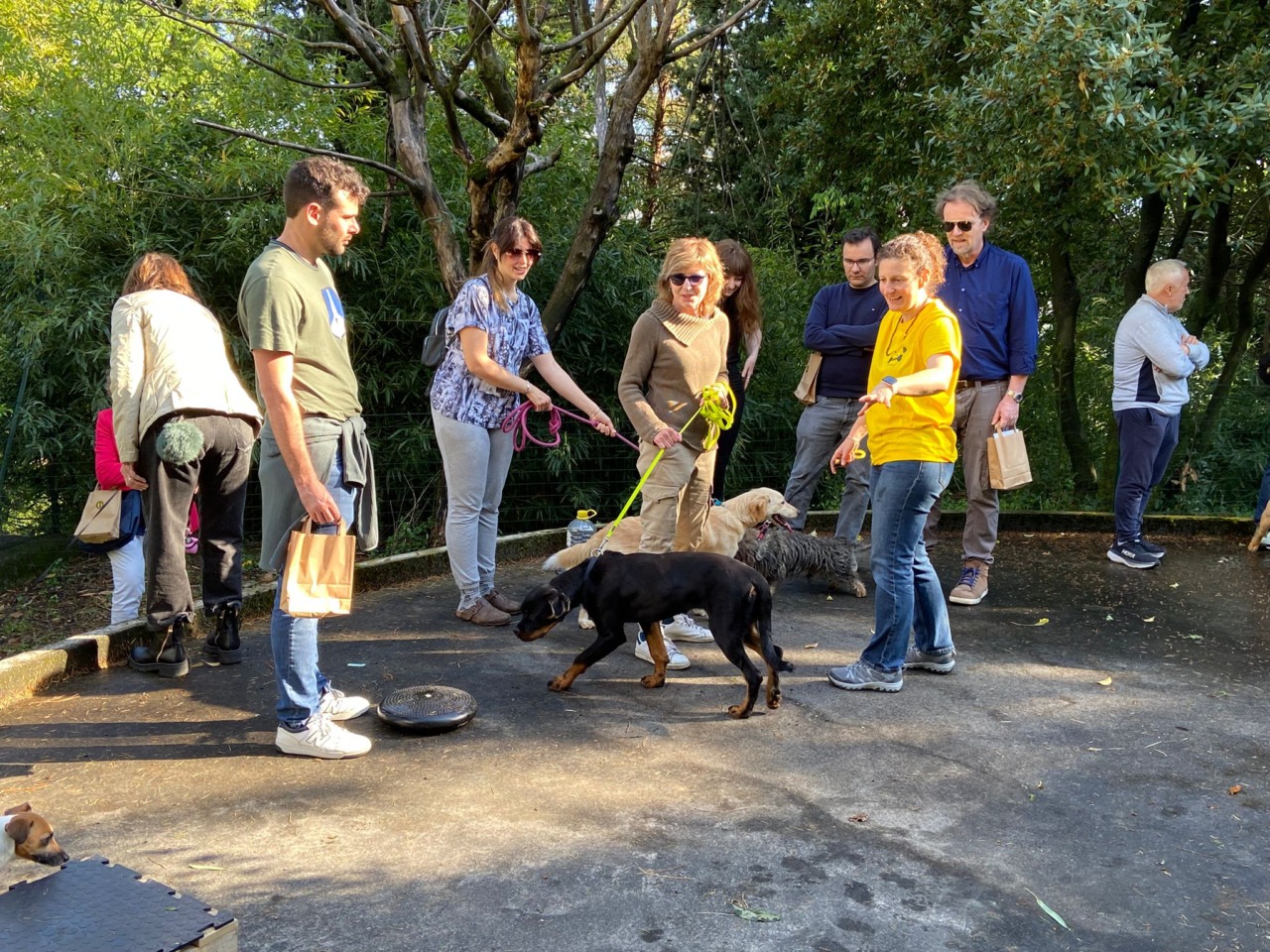 Successo per il Centro Cinofilo Family Dog: oltre cento visitatori all'apertura