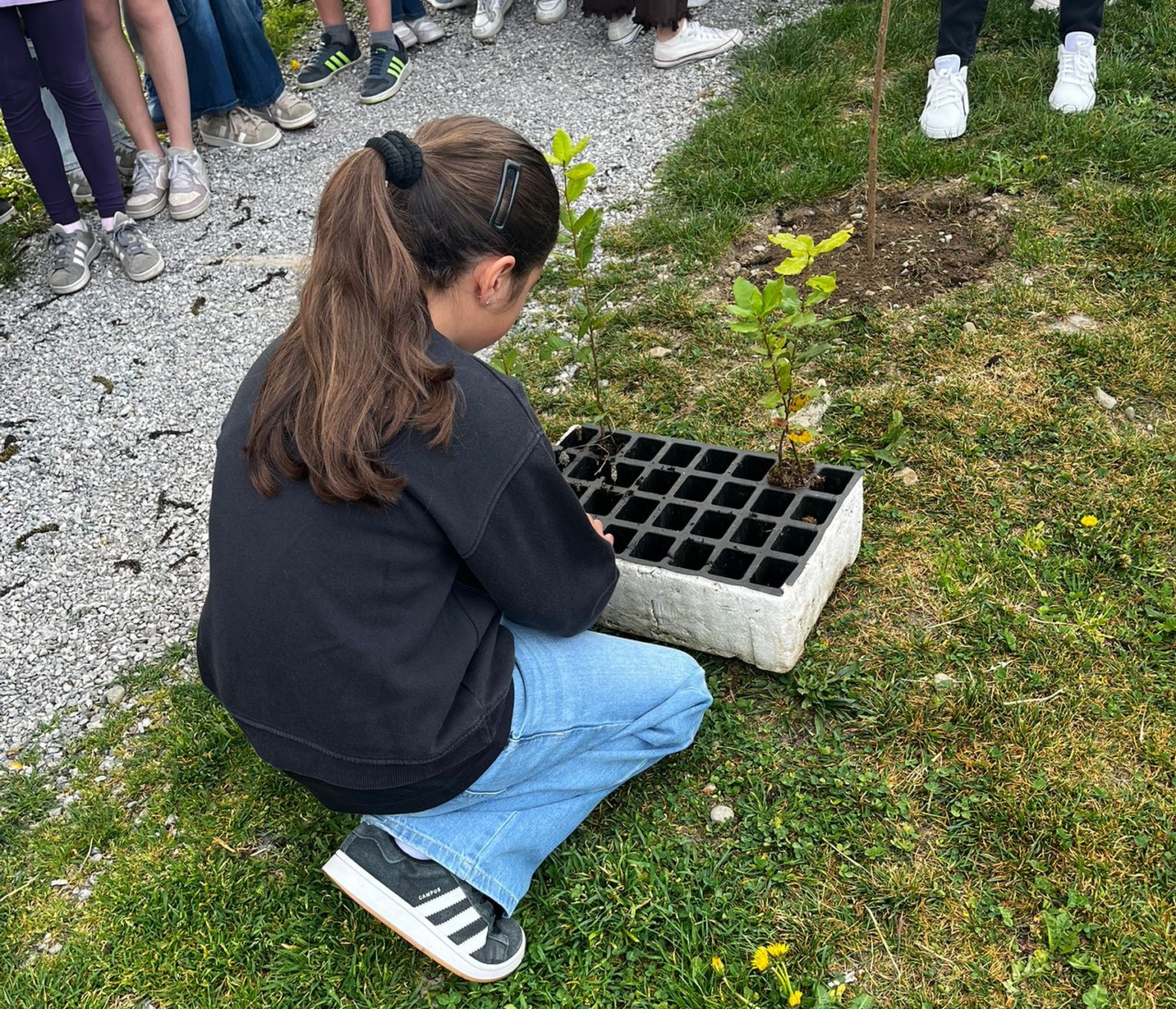 “Semi di Pace”: a Valgreghentino i bambini piantano alberi e coltivano valori