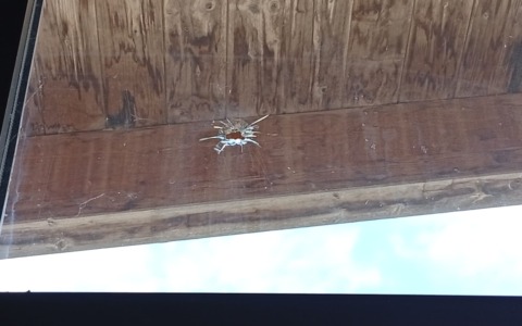 Introbio: nuovi atti vandalici alla palestra