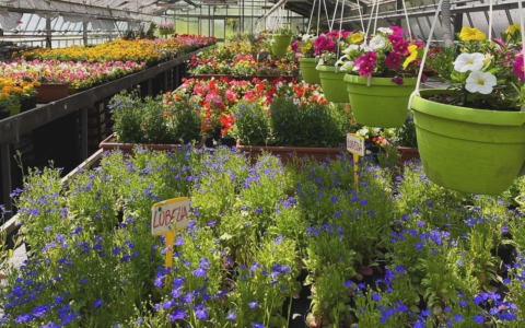 Torna “Montessori in fiore”, l’appuntamento primaverile promosso dal Centro di Formazione Professionale Consolida