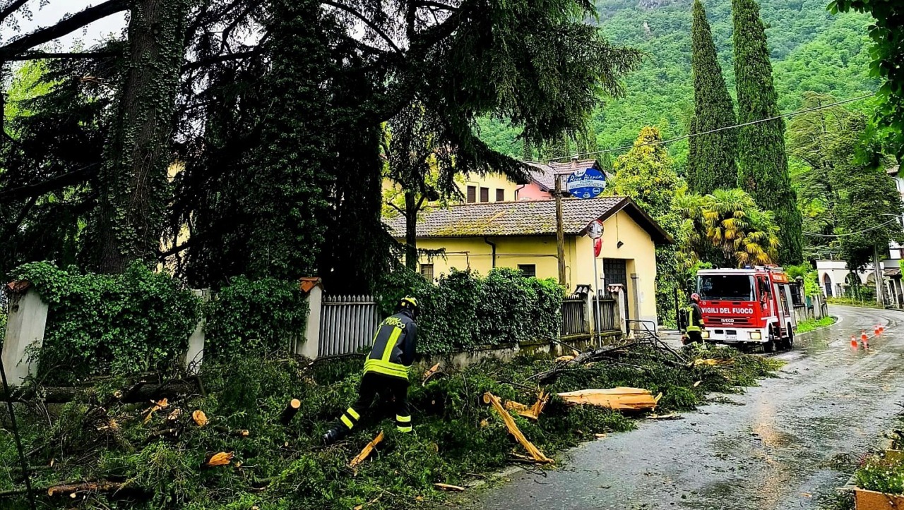 Vento e maltempo:  alberi abbattuti e strada interrotta dopo un fulmine