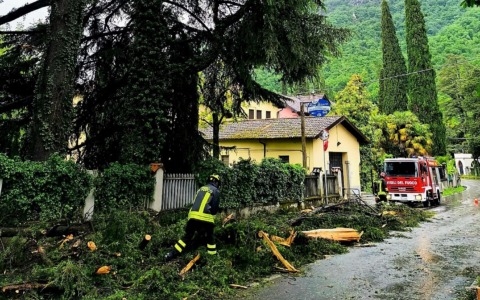 Vento e maltempo:  alberi abbattuti e strada interrotta dopo un fulmine