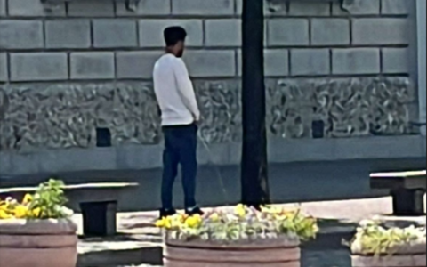 Lecco, gesto indecoroso centro: uomo urina su un albero in piazza Garibaldi