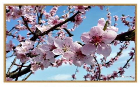 Gruppo Artisti Olatesi: al via la 6^ edizione di “Atmosfere di primavera”