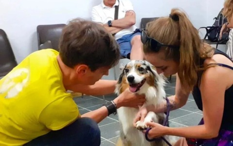 A Vercurago un incontro sul primo soccorso veterinario