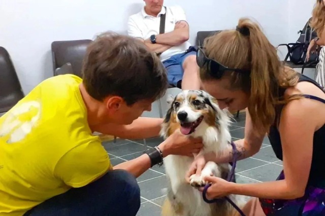 A Vercurago un incontro sul primo soccorso veterinario