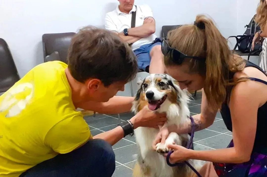 A Vercurago un incontro sul primo soccorso veterinario