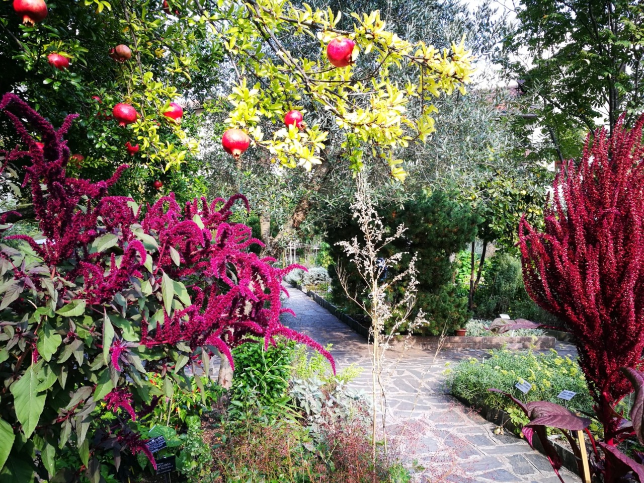 Valmadrera, visita guidata in Lingua dei Segni Italiana all’Orto Botanico “Riccardo Villa”