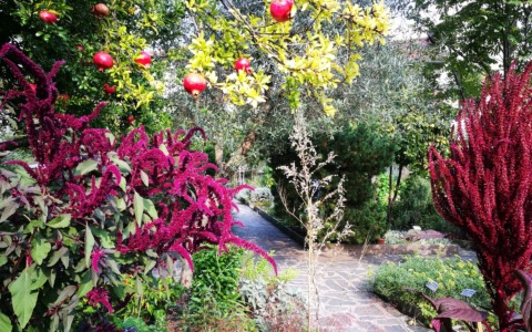 Valmadrera, visita guidata in Lingua dei Segni Italiana all’Orto Botanico “Riccardo Villa”